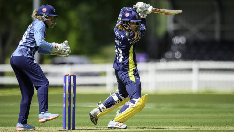 All-round Hampshire hold off Odgers, Learoyd charge for Somerset